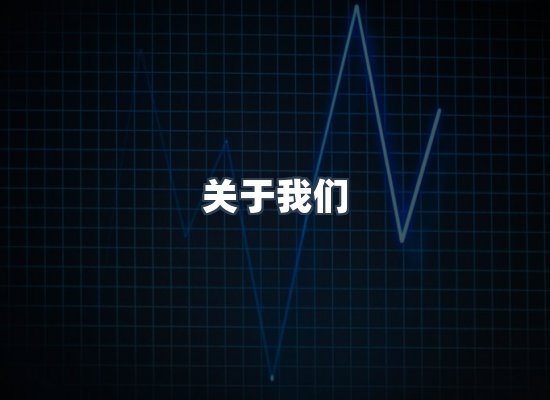 关于我们